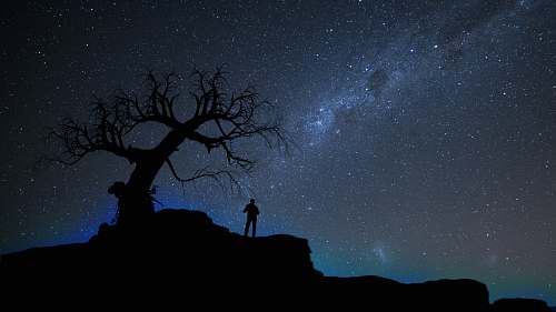 milky way silhouette of person standing beside bare tree under stary sky blue